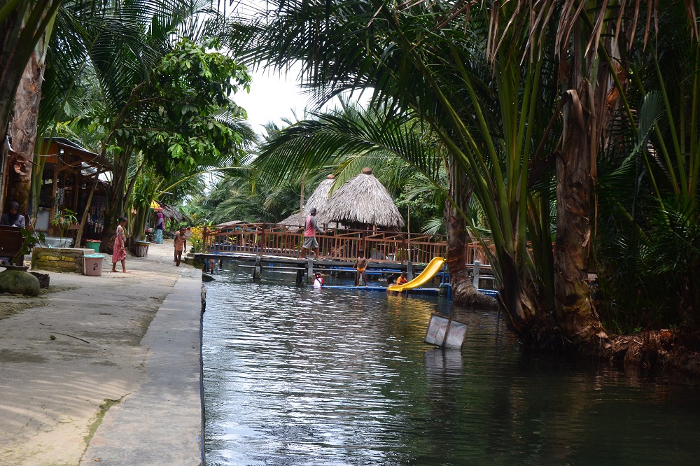 wisata pelang dan kebun sagu tuban