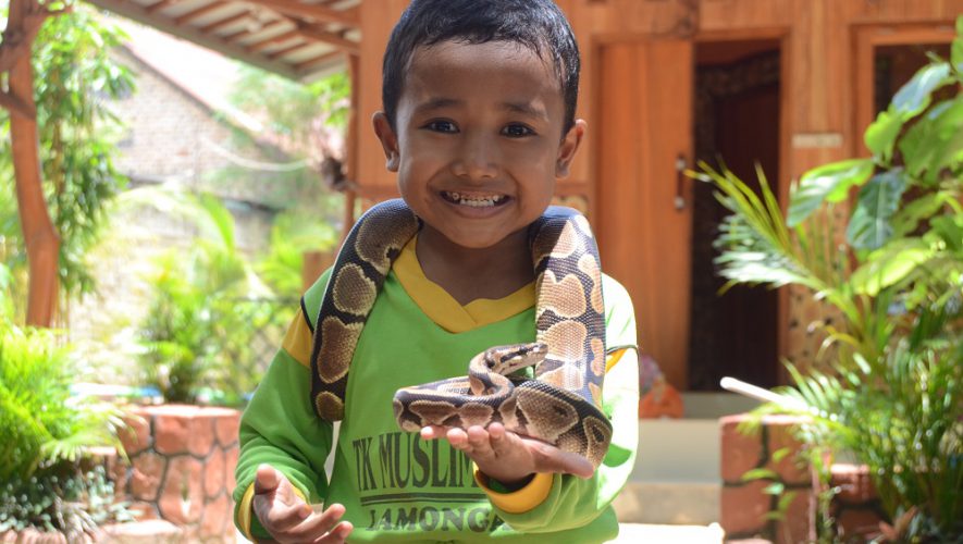 Outbound Edukasi Reptil di Tuban